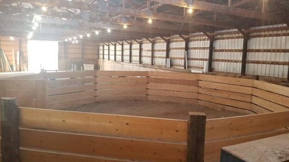 Montana Dream Property With Unlimited Options on 48+ Acres In Sidney: 12353 County Rd 348, Sidney, MT 59270